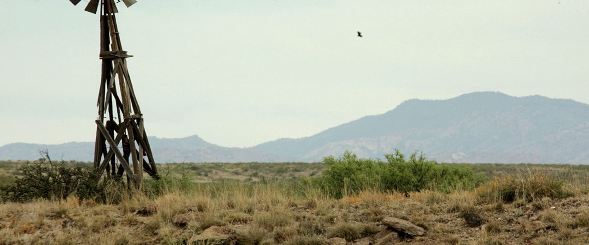 The Climate of Texas: From Humid to Arid